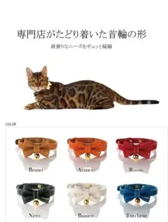 Item thumbnail for item f7c9e12c-25cb-44d0-94e4-afa5a079def8