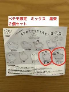 うちの子のけだまだま　ペテモ限定　ミックス　黒柴　２個セット　正規品