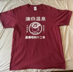 Item thumbnail for item ad772566-3509-42b5-bd02-43b94ce22982