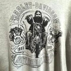 ハーレーダビットソン 80周年 記念Tシャツ 希少 リンガー 古着 ヴィンテージ