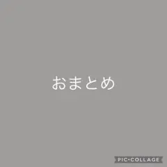 アパレルさん使用の高級コットンシルクタフタ★形状記憶タイプのタフタ生地