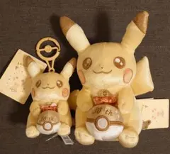 ポケモン ぬいぐるみ マスコット2点セット