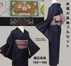 2026年最新】大島紬 証紙 セットの人気アイテム - メルカリ