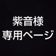 紫音(ง °Θ°)ว様 リクエスト 2点 まとめ商品