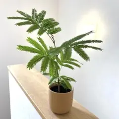 chiara様 リクエスト 2点 まとめ商品