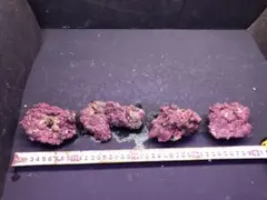 くうちゃん様 リクエスト 2点 まとめ商品