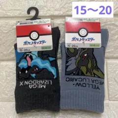 ポケモン　ソックス　2足組　サイズ15〜20㎝　クルー丈　メガリザードンx