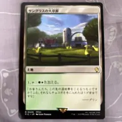MTG サングラスの大草原 日本語 foil - メルカリ