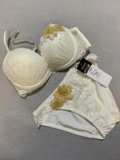E65M 花柄刺繍×レース　ブラ＆ショーツセット　アイボリー