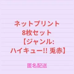 ネットプリント ハイキュー まとめ売り