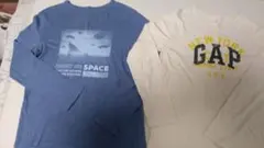 Item thumbnail for item 1d6dfa70-d268-4ba3-bad5-f1ea1f931b77