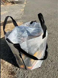 Item thumbnail for item ac922008-892a-4899-9be0-dc919b77a2c0