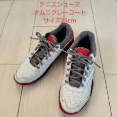 YONEX ヨネックス テニスシューズ オムニクレーコート用 25cm