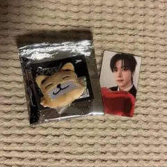 zb1 ゼベワン　メテュ　ドールキーリング　特典トレカ　アンコン