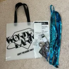 TREASURE WONDERLAND ペンミ プレミアム シート 特典 銀テ