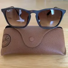 Ray-Ban エリカ　サングラス ケース付き