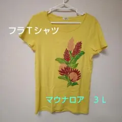 Item thumbnail for item b886243a-e6a4-46cc-a618-4f0b69c593b7