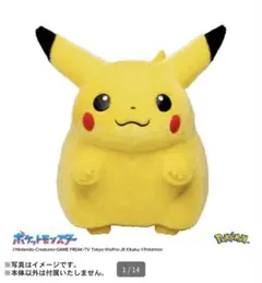 新品　ポケモン30周年記念おかえり!ピカチュウ1/1