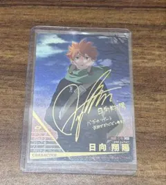 バボカ!! 【秘】日向翔陽 サイン入り ハイキュー!!