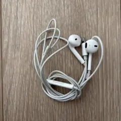 Apple純正イヤホン ライトニングイヤホン