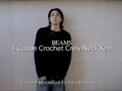 BEAMS 3 Gauge Crochet Crew Neck Knitのサムネイル