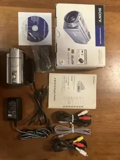 2025年最新】hdr cx500の人気アイテム - メルカリ