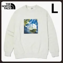 【新品】ノースフェイススエットトレーナー海外限定アース地球L