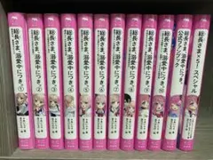 小説　総長さま溺愛中につき。1-10巻➕公式ファンブック➕総長さまx5スペシャル