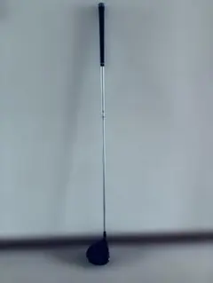 Item thumbnail for item 782159b3-6f72-47ab-bd4e-ab138d299add