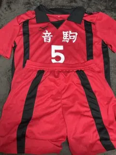 ハイキュー!! 音駒高校 孤爪研磨 5番 ユニフォーム　コスプレ衣装　XLサイズ