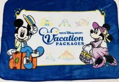 東京ディズニーリゾート バケーションパッケージ ブランケット　ポーチ付き