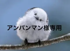 アンパンマン様専用 #168