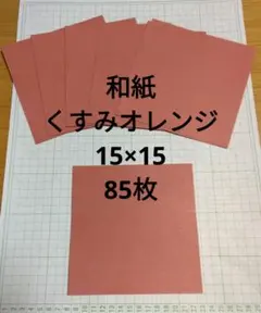 ねこ様 リクエスト 2点 まとめ商品