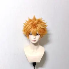ハイキュー 日向翔陽 ウィッグ コスプレ