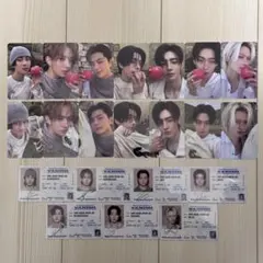 THE SIN VANISH FUGITIVES 7形態 トレカ フルコンプ