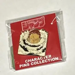 ONE PIECEワンピース ジャンプショップ限定 ピンズコレクション ヨンジ