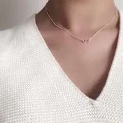 スローブイエナ