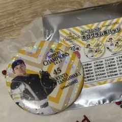 若鷹ガチャ 谷川原健太 缶バッジ まとめ売り バラ売り可 若鷹ガチャ 谷川原健太 缶バッジ まとめ売り バラ売り可