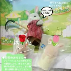 Sakuranbo-p様 リクエスト 2点 まとめ商品