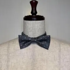 Item thumbnail for item 5f7649d5-551a-4340-8b11-130efe75e415