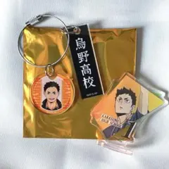 ハイキュー!! 頂ストア 主将 缶バッジ 澤村大地 2点セット - メルカリ