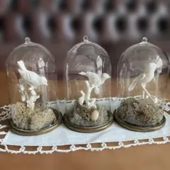 鳥のオブジェ ガラスドーム フレンチシャビーのサムネイル