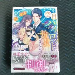 クールな空自パイロットに拾われました～家政婦なのに愛され生活で!?～