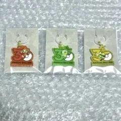 ポケチャーム　30周年ロゴマスコット　ヒコザル　ナエトル　ゼラオラ　セット