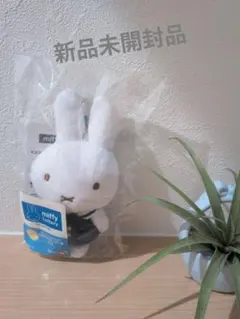 2026年最新】ミッフィー くじ ぬいぐるみの人気アイテム - メルカリ