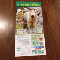 【速達要相談】富士サファリパーク 入園無料券のサムネイル