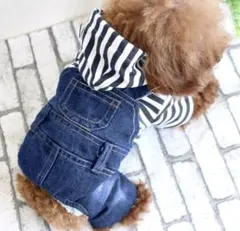 犬服 ストライプフード付きデニムオーバーオール Mサイズ