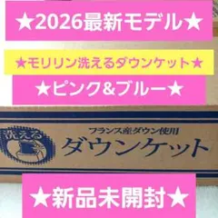 2026年最新】モリリン 羽毛掛け布団の人気アイテム - メルカリ