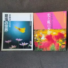 Item thumbnail for item a5f86ab8-95a1-4064-9140-549240b4fc85