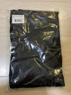 Item thumbnail for item 12857a2b-27cb-4031-b453-8e4c450fc151